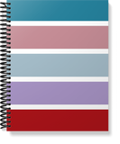 The Provider Planner & Organizer - The Essential Tool For The Childcare Provider (Older 5th Edition)