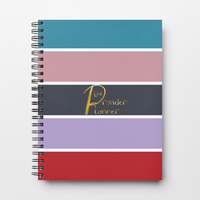 The Provider Planner & Organizer (SOFTCOVER 6TH VERSION) STRIPE