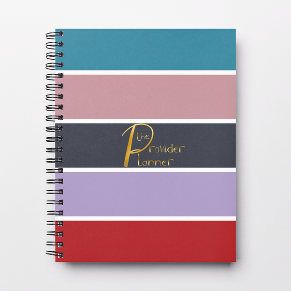 The Provider Planner & Organizer (SOFTCOVER 6TH VERSION) STRIPE