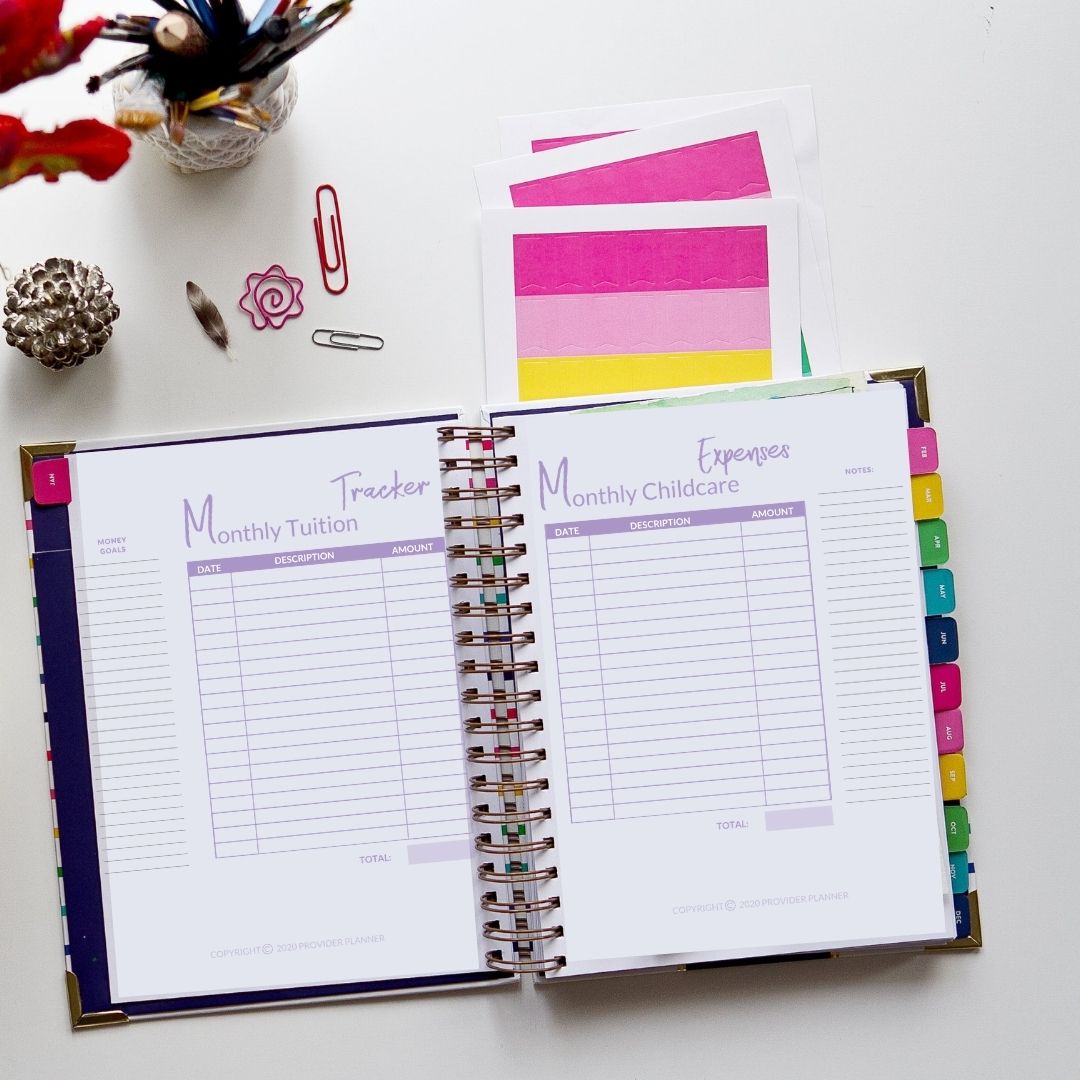 The Provider Planner & Organizer - The Essential Tool For The Childcare Provider (Older 5th Edition)