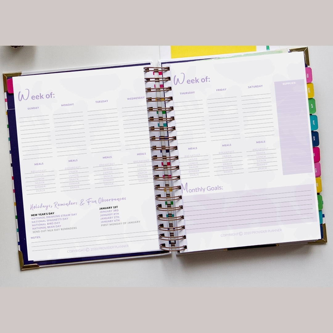 The Provider Planner & Organizer - The Essential Tool For The Childcare Provider (Older 5th Edition)