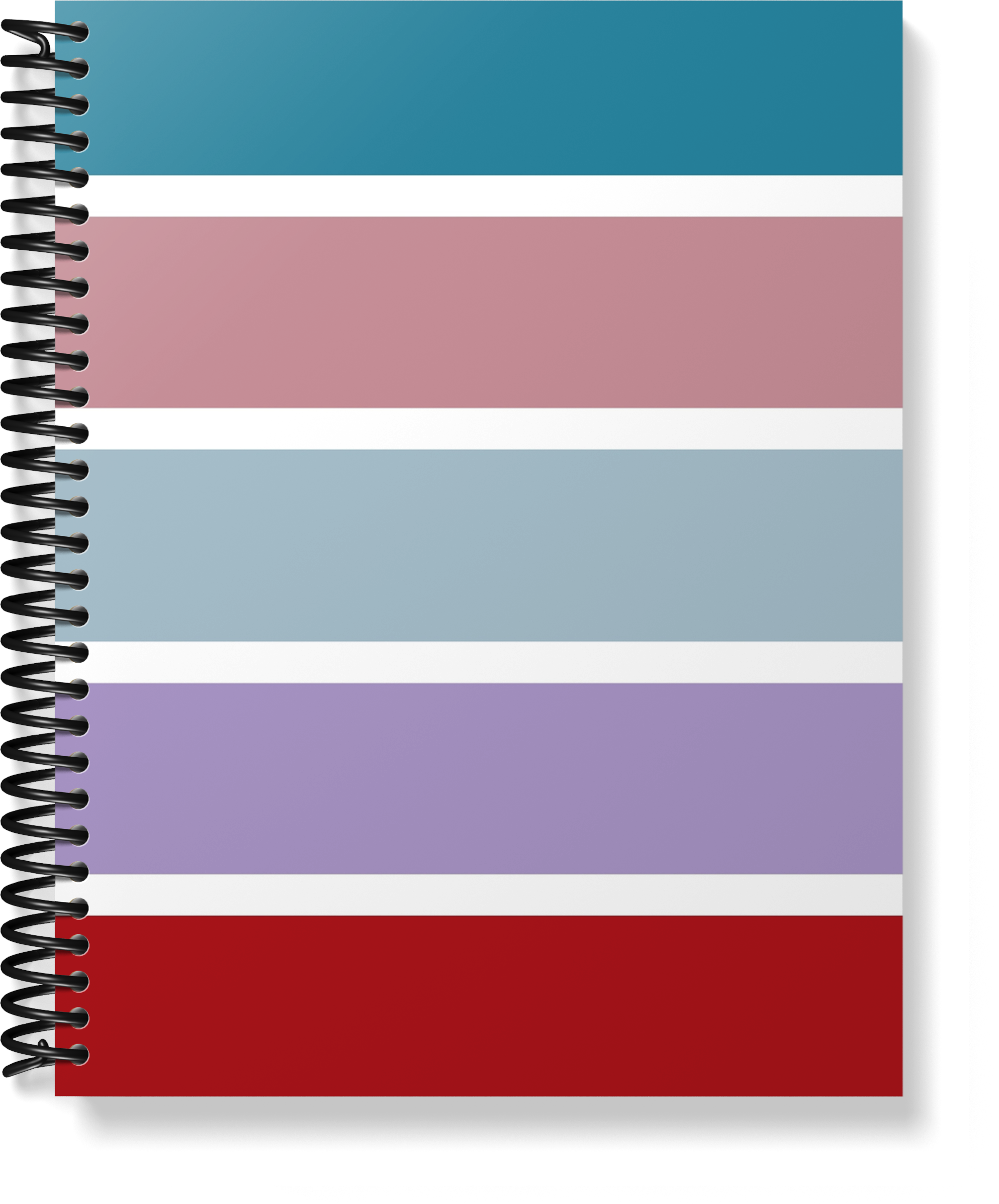 The Provider Planner & Organizer - The Essential Tool For The Childcare Provider (Older 5th Edition)
