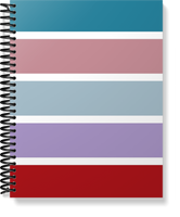The Provider Planner & Organizer [HARDCOVER] - STRIPED