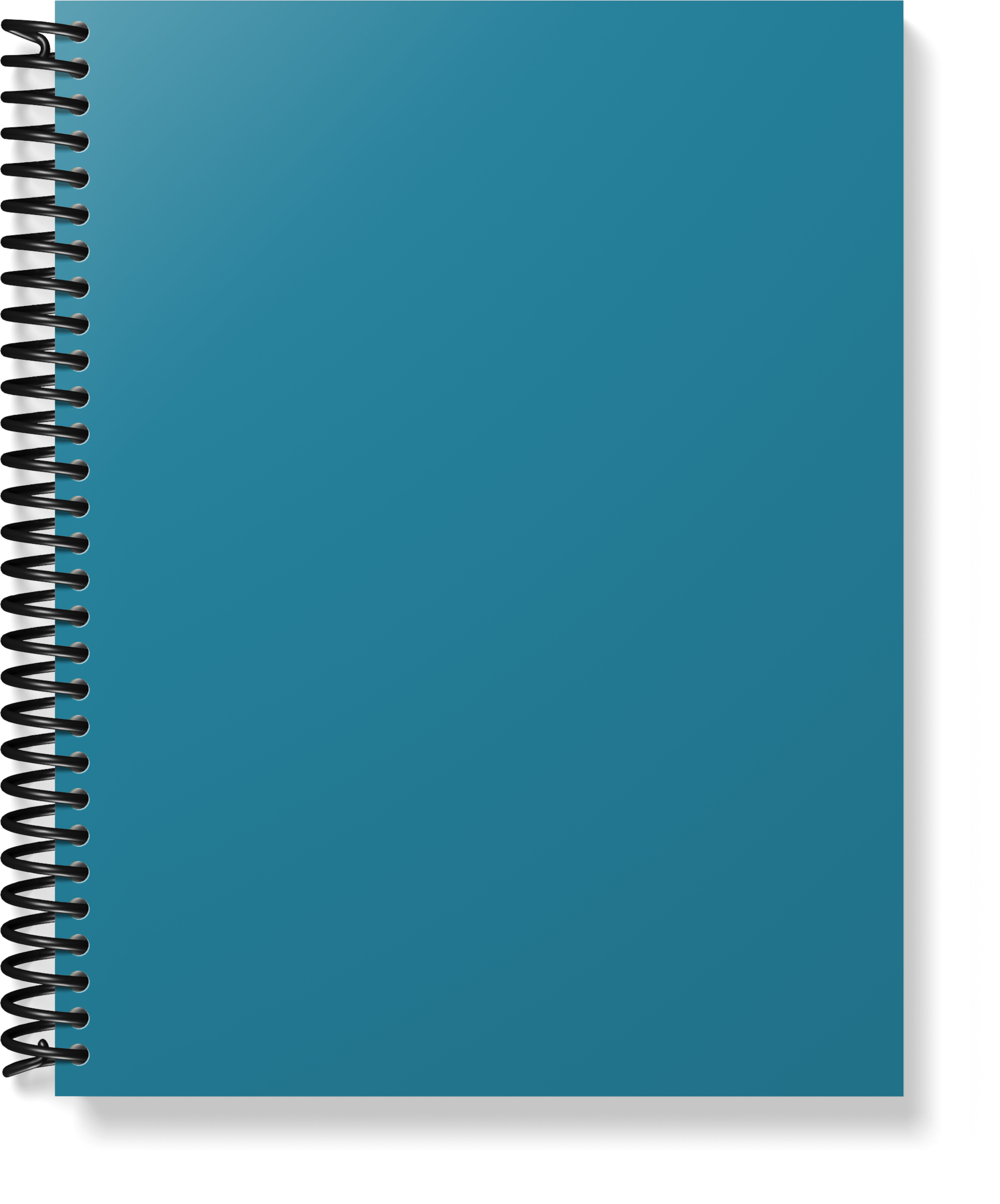The Provider Planner & Organizer - The Essential Tool For The Childcare Provider (Older 5th Edition)