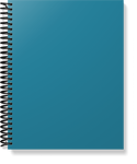 The Provider Planner & Organizer (Softcover Version) BLUE