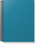 The Provider Planner & Organizer [HARDCOVER] - SOLID BLUE